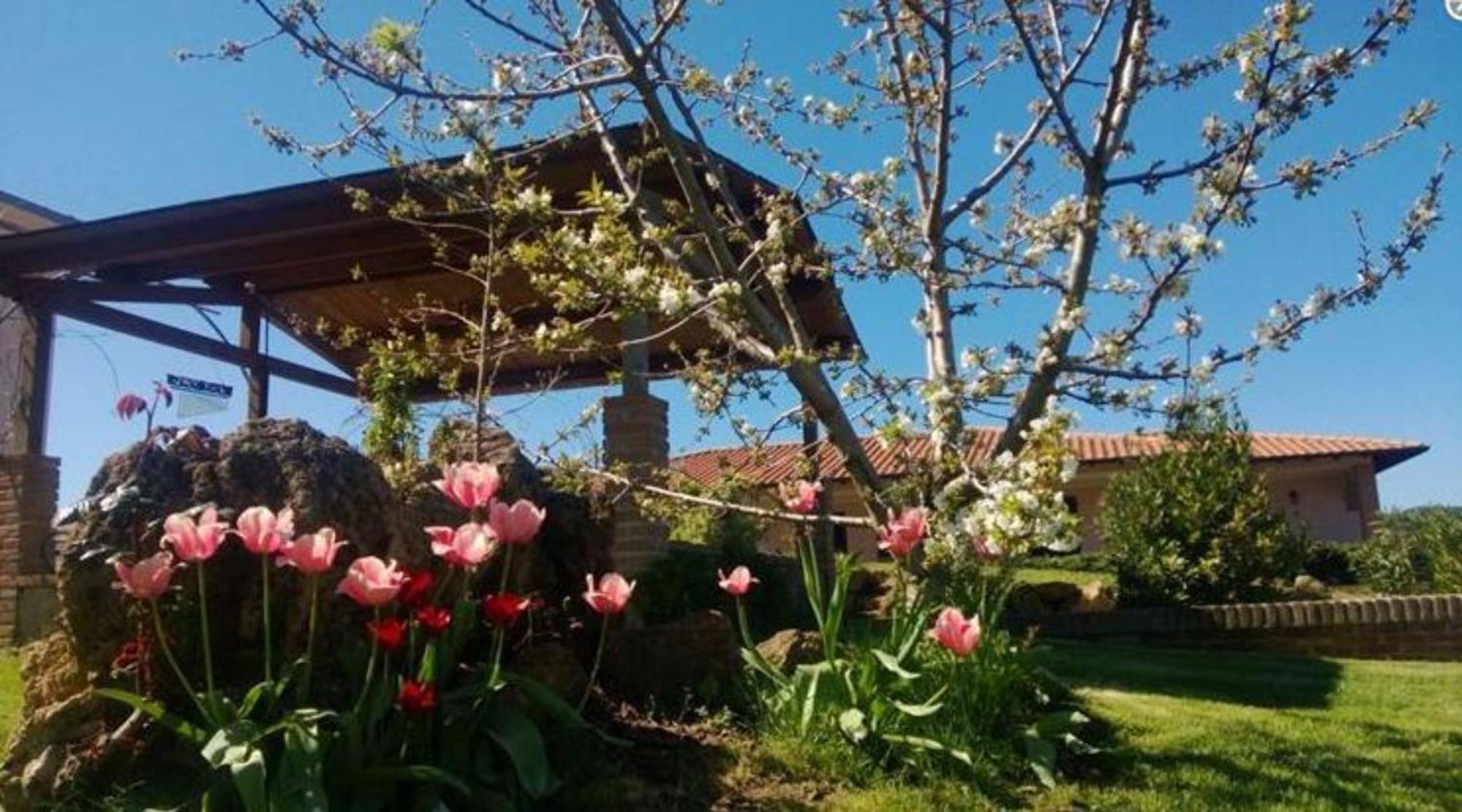 La Mandriana Villa Massa Marittima Exterior foto