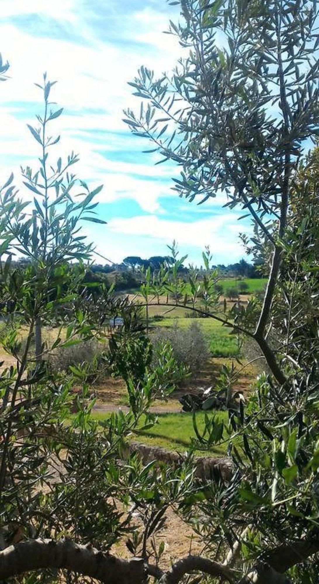 La Mandriana Villa Massa Marittima Exterior foto