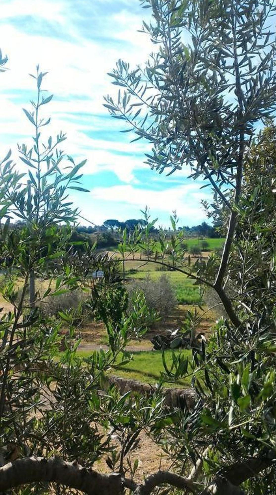 La Mandriana Villa Massa Marittima Exterior foto