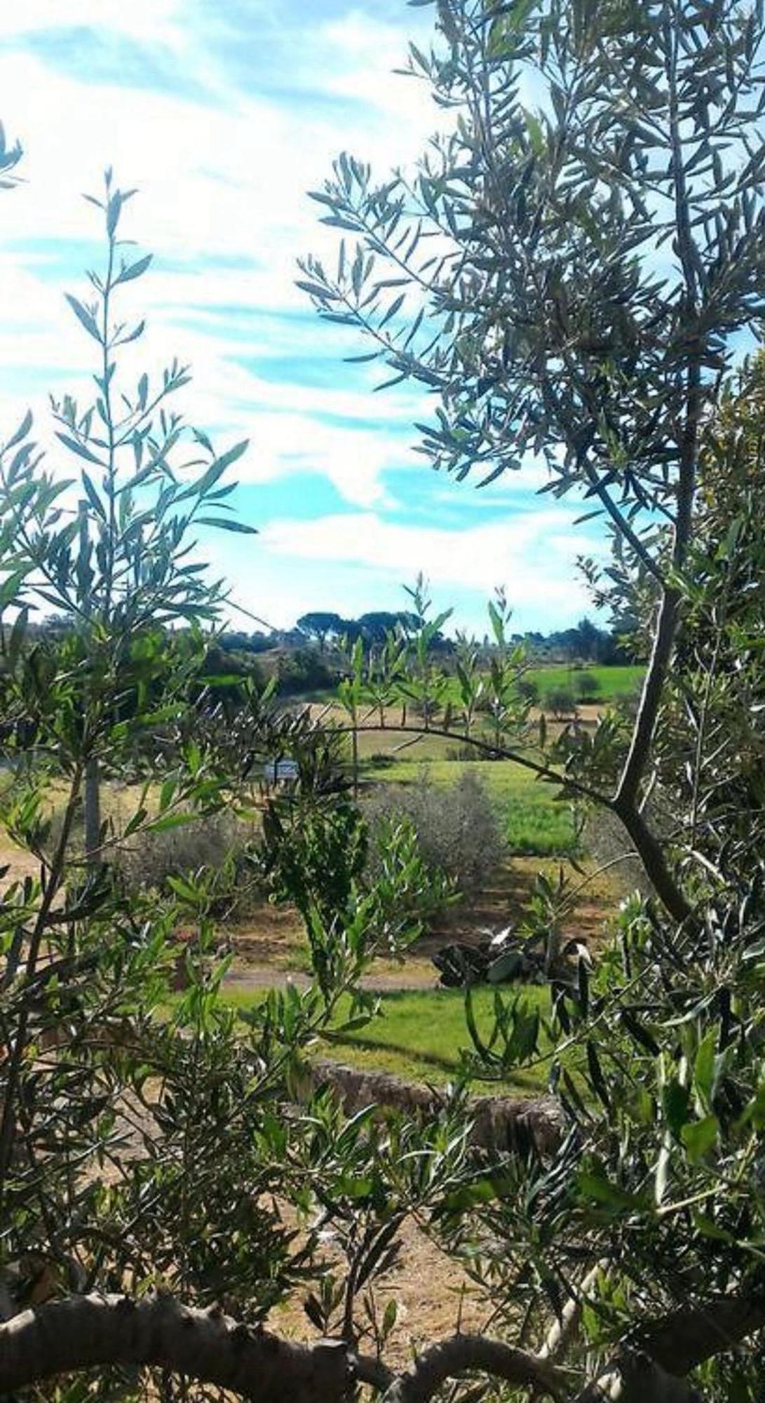 La Mandriana Villa Massa Marittima Exterior foto