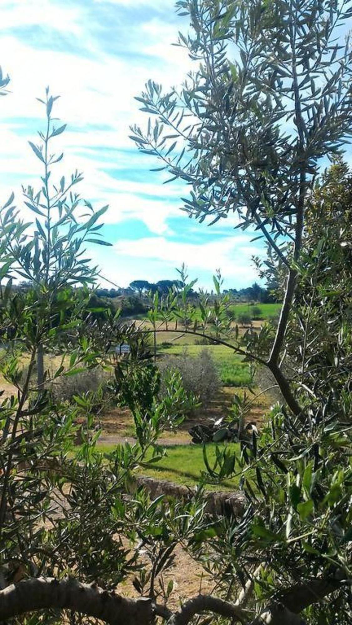 La Mandriana Villa Massa Marittima Exterior foto